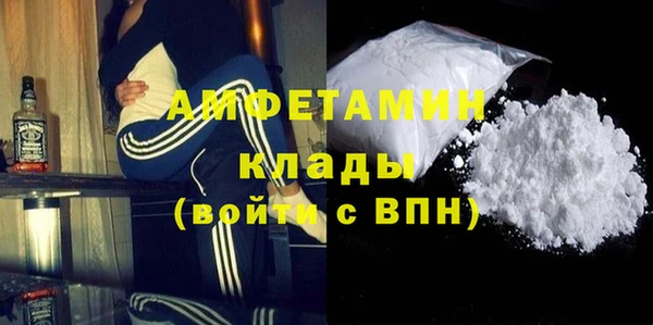 гашик Ветлуга