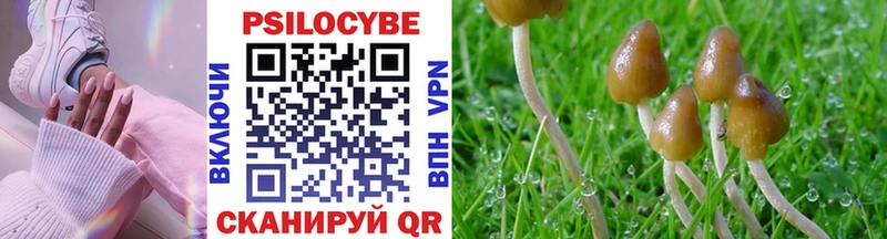 Галлюциногенные грибы мицелий Великий Новгород