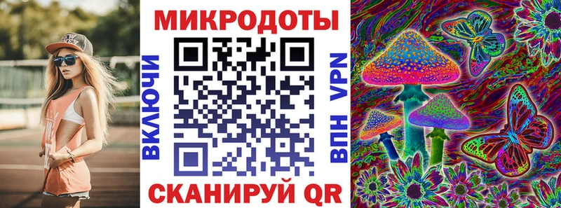 Псилоцибиновые грибы Psilocybe  цена   мега как зайти  дарк нет формула  Великий Новгород 
