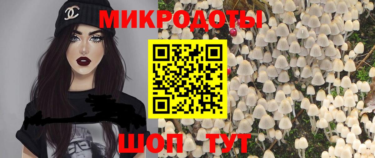 Галлюциногенные грибы Psilocybine cubensis Великий Новгород